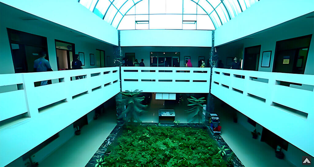 What we Set to Achieve